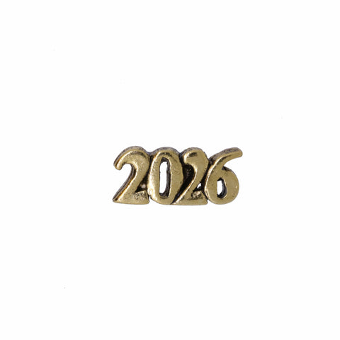Year Gold Lapel Pin