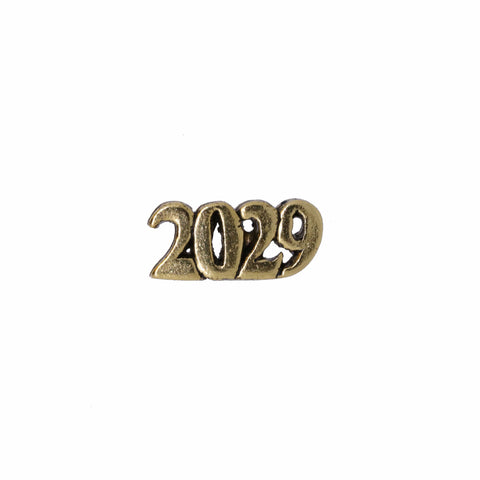 Year Gold Lapel Pin