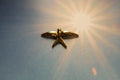 Swallow Gold Lapel Pin