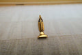 Vacuum Gold Lapel Pin