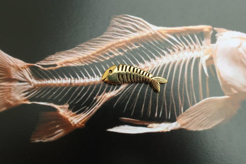 Fish Skeleton Gold Lapel Pin