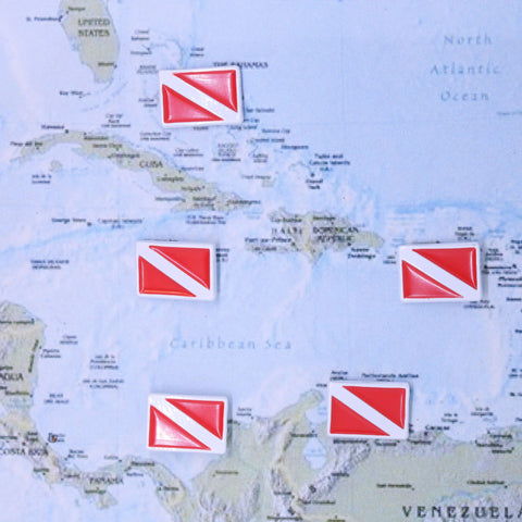 Dive Flag Map Pins