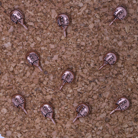 Horseshoe Crab Pushpins