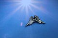 Angel Wings Lapel Pin