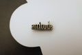 Attitude Lapel Pin