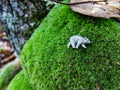 Bear Lapel Pin