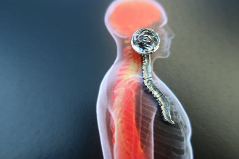 Brain and Spine Lapel Pin