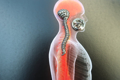 Brain and Spine Lapel Pin
