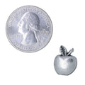 Apple Lapel Pin