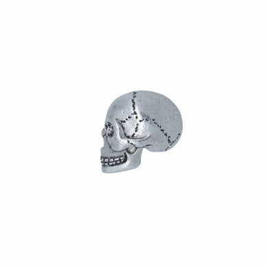 Skull Lapel Pin