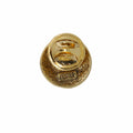 Asteroid Gold Lapel Pin