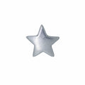 Star Lapel Pin