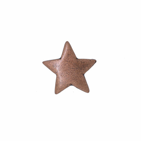 Star Copper Lapel Pin