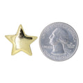 Star Gold Lapel Pin