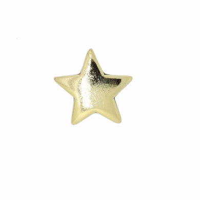 Star Gold Lapel Pin