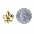 Fleur de Lis Gold Lapel Pin