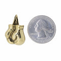 Boxing Gloves Gold Lapel Pin