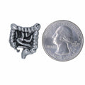 Intestines Lapel Pin