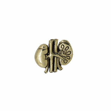 Kidney Gold Lapel Pin