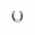 Horseshoe Lapel Pin