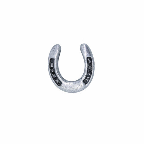 Horseshoe Lapel Pin