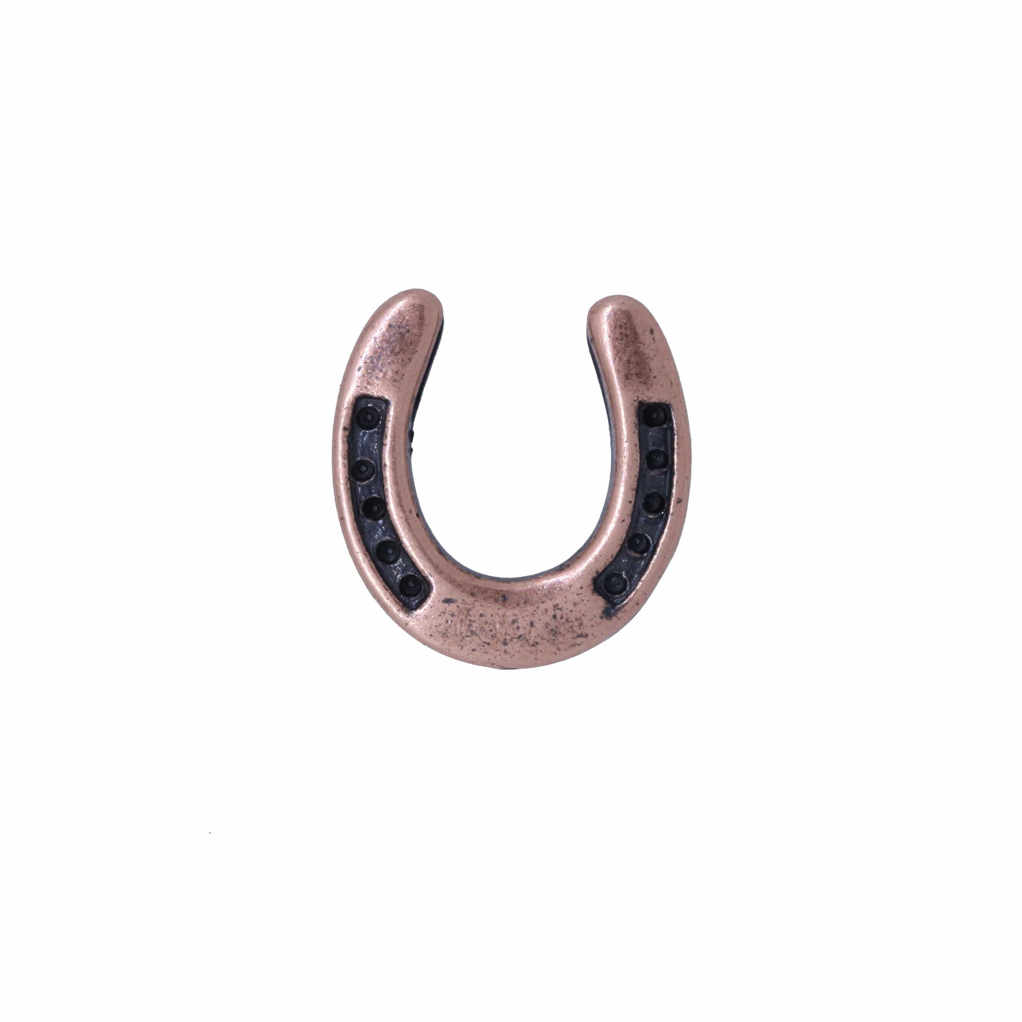 Horseshoe Copper Lapel Pin