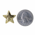 Dream Star Gold Lapel Pin