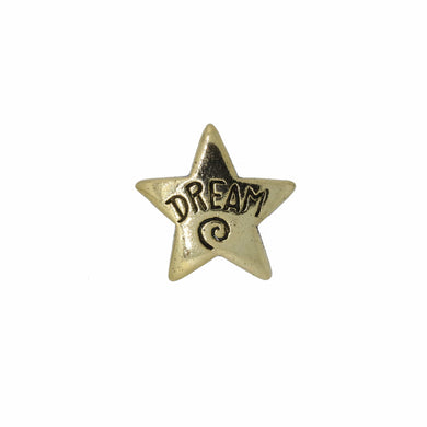 Dream Star Gold Lapel Pin