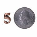 Number 5 Copper Lapel Pin