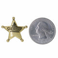 Sheriff Star Gold Lapel Pin