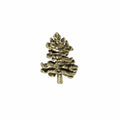 Northern White Pine Gold Lapel Pin