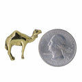 Camel Gold Lapel Pin