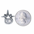 Vertebra Lapel Pin