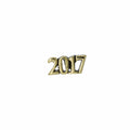 Year Gold Lapel Pin