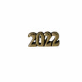 Year Gold Lapel Pin