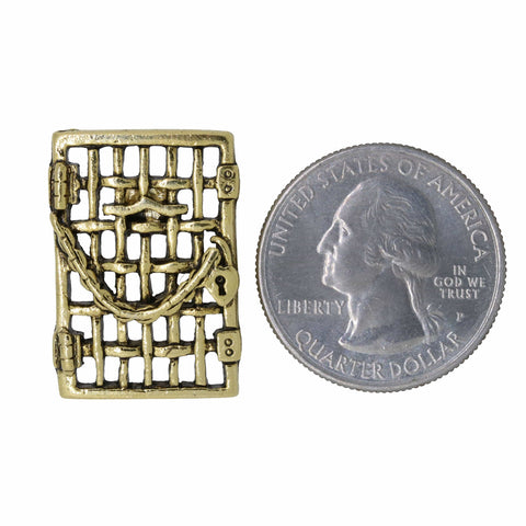 Suffragette Jail Door Gold Lapel Pin