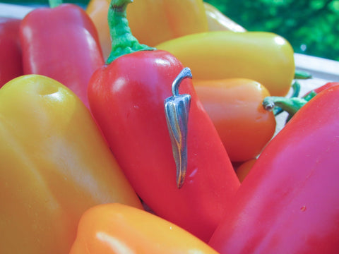 Chili Pepper