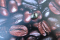 Coffee Bean Lapel Pin