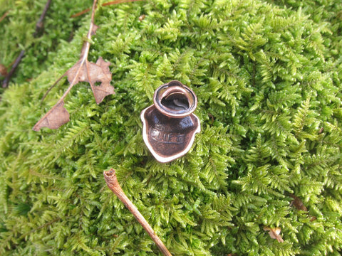 Acorn Copper Lapel Pin