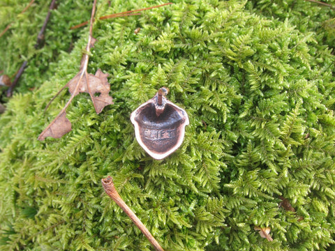 Acorn Copper Lapel Pin