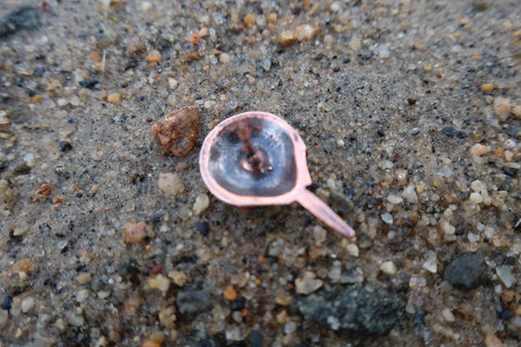 Horseshoe Crab Copper Lapel Pin