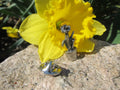 Daffodil Lapel Pin