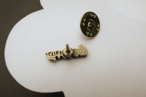 Discover Lapel Pin