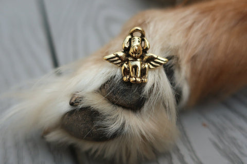 Dog Angel Gold Lapel Pin