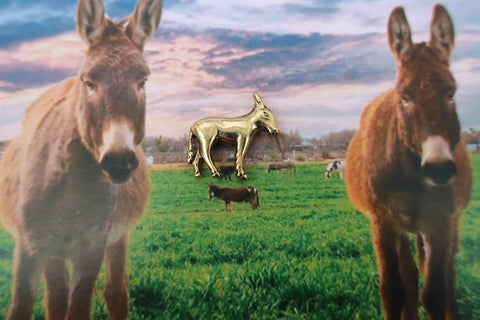 Donkey Gold Lapel Pin