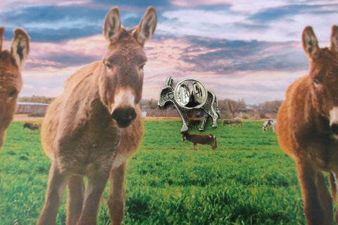 Donkey Lapel Pin