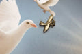 Dove Lapel Pin