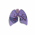 Lungs Enamel Pin
