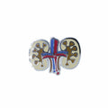 Kidneys Enamel Pin