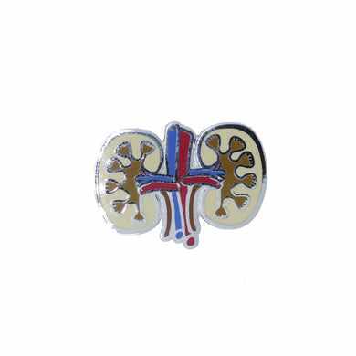 Kidneys Enamel Pin | lapelpinplanet